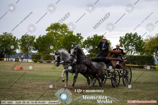 Mintakép 20260905-1859