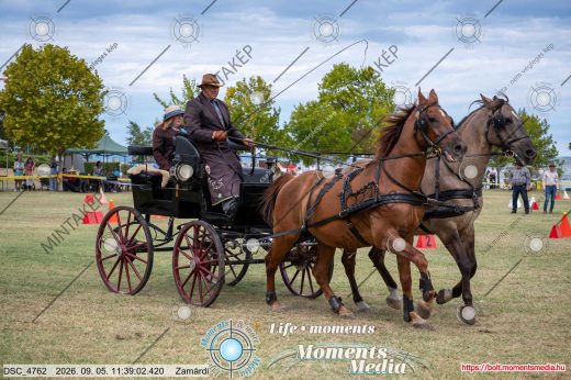 Mintakép 20260905-1867
