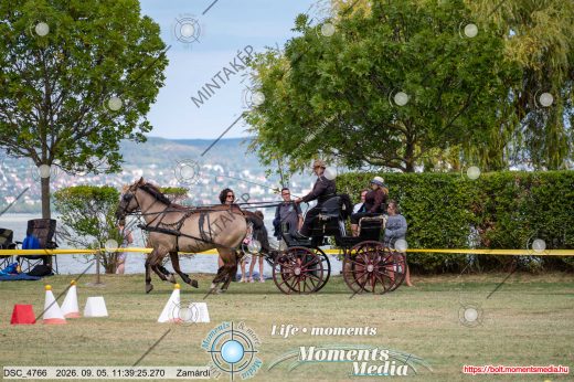 Mintakép 20260905-1868