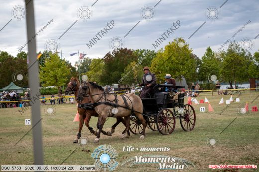 Mintakép 20260905-1885