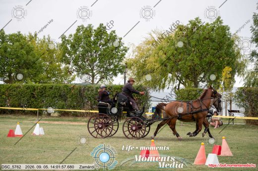 Mintakép 20260905-1891