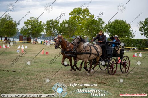 Mintakép 20260905-1896