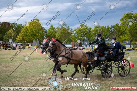Mintakép 20260905-1930