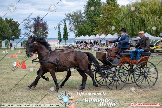 Mintakép 20260905-1937