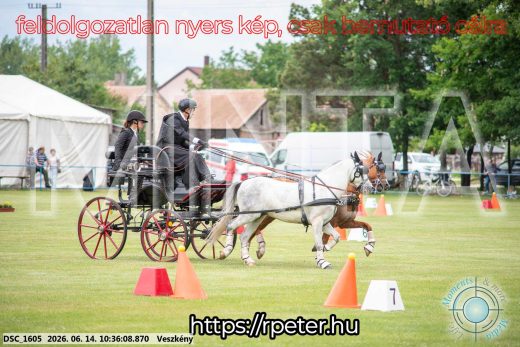 Mintakép 20260614-976