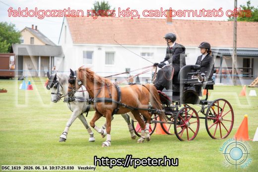Mintakép 20260614-989
