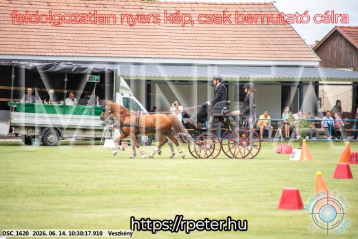 Mintakép 20260614-990