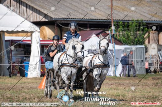 Mintakép 20260912-129