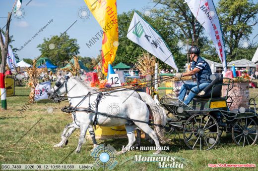 Mintakép 20260912-137