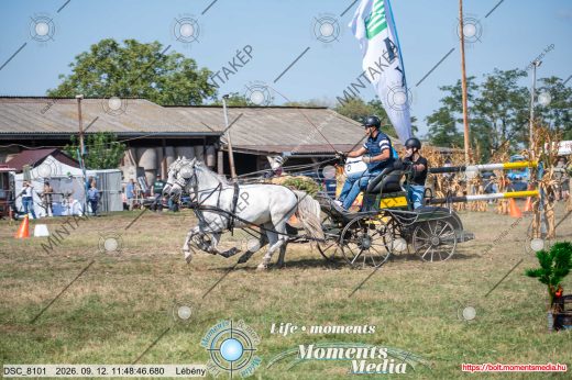 Mintakép 20260912-156