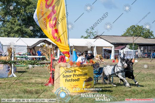 Mintakép 20260912-257