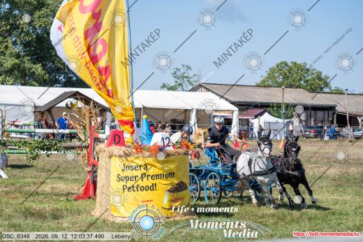 Mintakép 20260912-258
