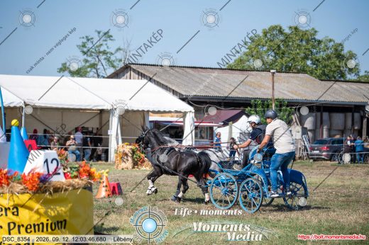Mintakép 20260912-263