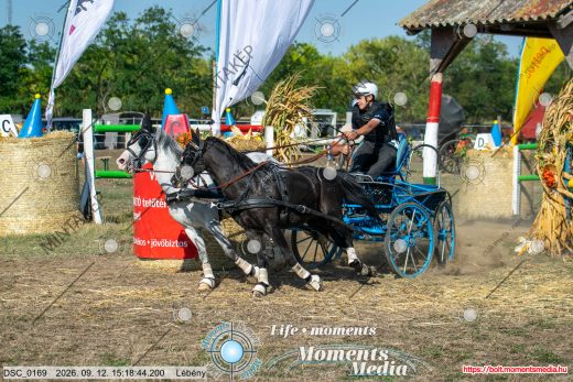 Mintakép 20260912-284