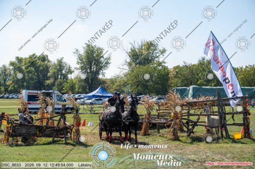20260912-124954-DSC_8633.jpg