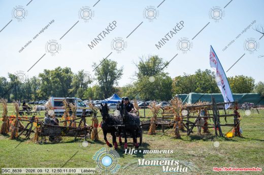 Mintakép 20260912-308