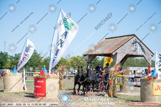 Mintakép 20260912-311
