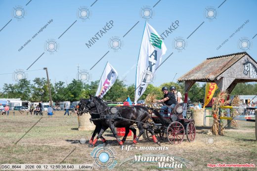 Mintakép 20260912-312