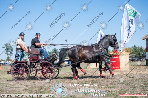Mintakép 20260912-319
