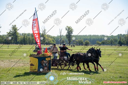 Mintakép 20260912-320