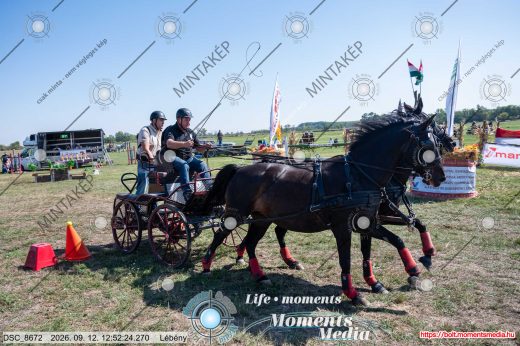 Mintakép 20260912-325
