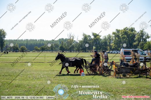 Mintakép 20260912-327