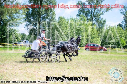 Mintakép 20260613-1895