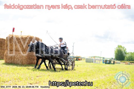 Mintakép 20260613-1896