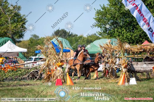 20260912-110016-DSC_7493.jpg