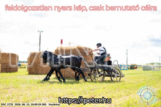 Mintakép 20260613-1897