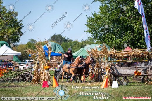 Mintakép 20260912-388