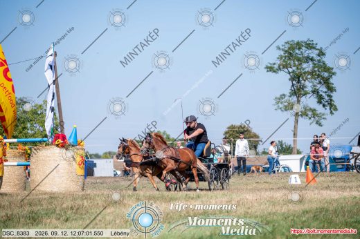 Mintakép 20260912-391