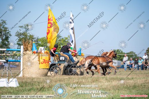 Mintakép 20260912-394