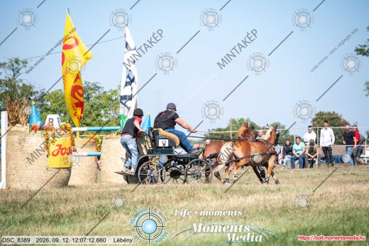 Mintakép 20260912-395