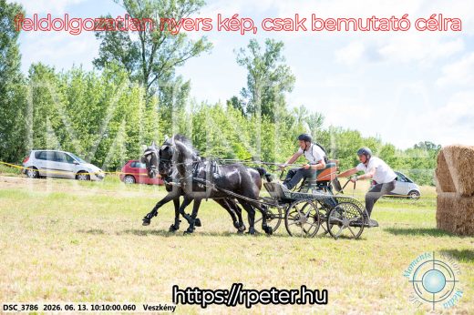 Mintakép 20260613-1901
