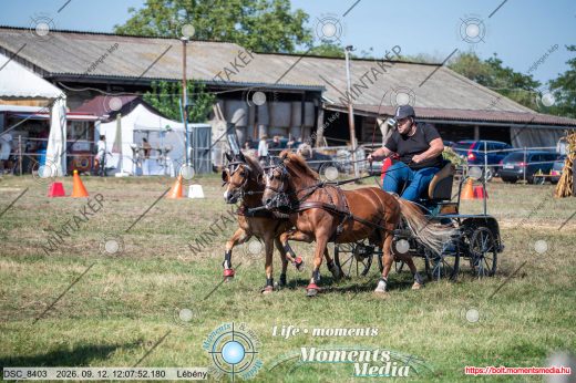 Mintakép 20260912-407