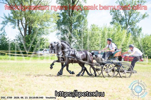 Mintakép 20260613-1902