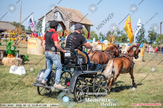 Mintakép 20260912-422