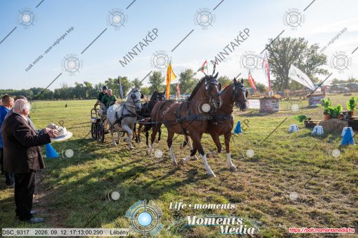 Mintakép 20260912-472