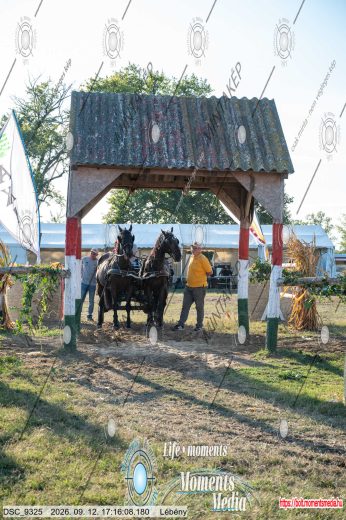 Mintakép 20260912-480