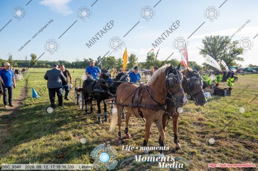Mintakép 20260912-494