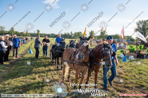 Mintakép 20260912-496