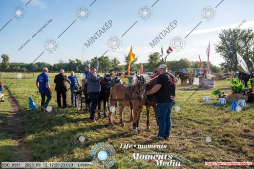 Mintakép 20260912-513