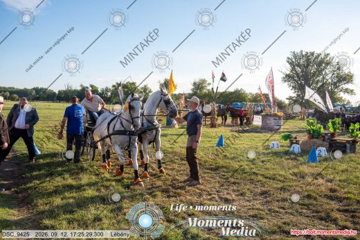 Mintakép 20260912-570