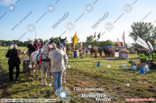 Mintakép 20260912-575