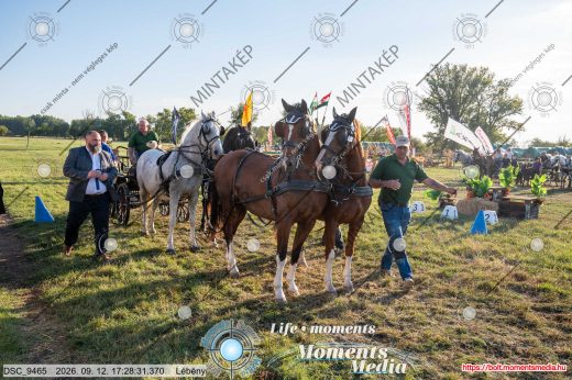 Mintakép 20260912-596