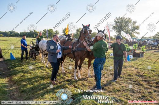 Mintakép 20260912-598