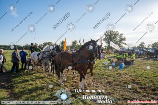 Mintakép 20260912-606