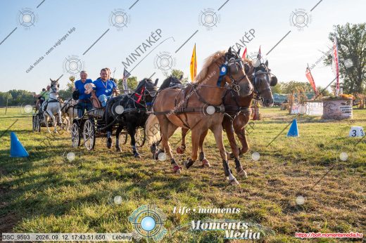 Mintakép 20260912-644