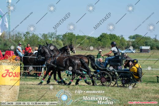 20260912-133944-DSC_9439.jpg